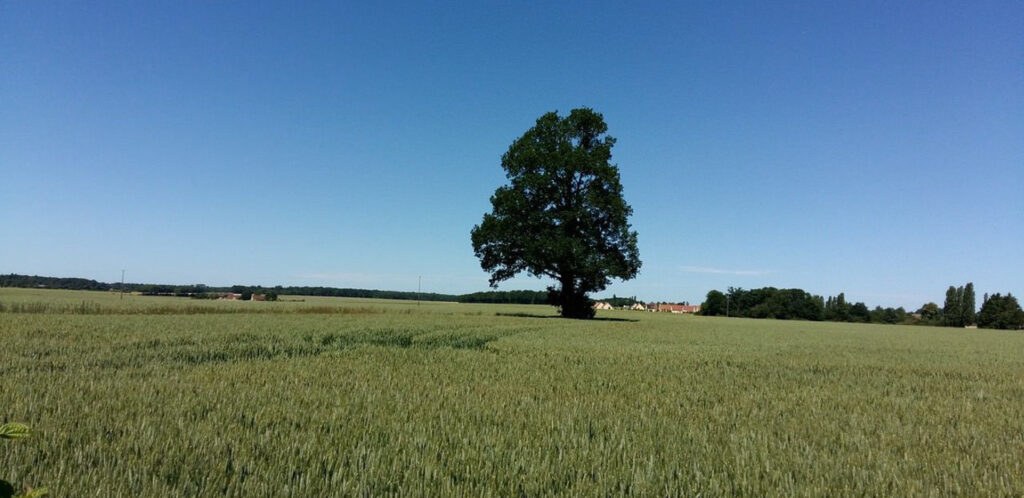 Les Barils, Barilois, Bariloise, Barils, Eure, Interco Normandie Sud Eure, Normandie