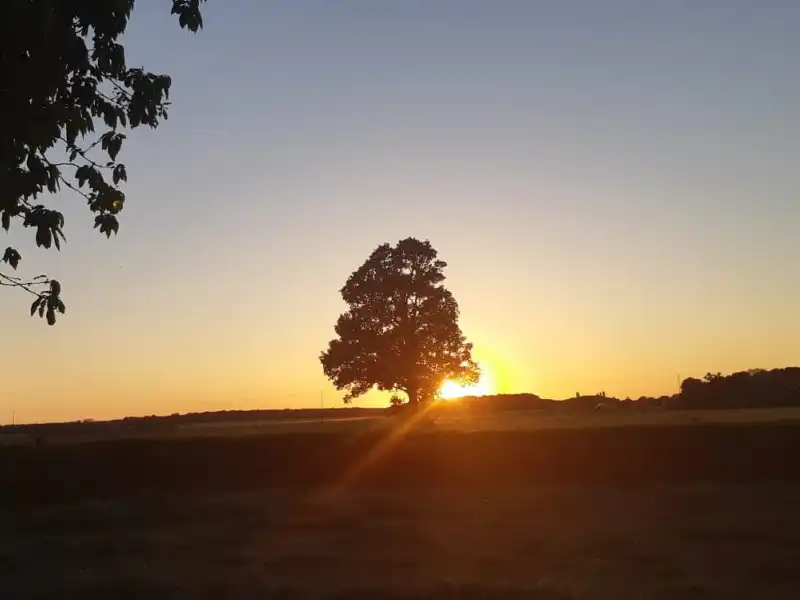 Image de mise en avant